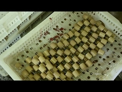 Hochspannungs-40.5kVAC-100pF 4000V keramischer Kondensator für kapazitiven Isolator